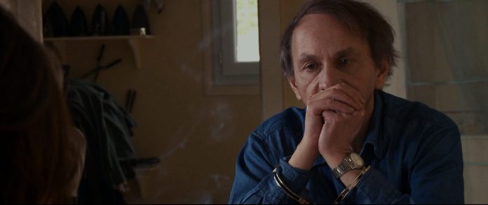 L' enlèvement de Michel Houellebecq
