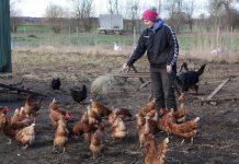 Agnes‘ Traum Foto: Gabriel Rinaldi