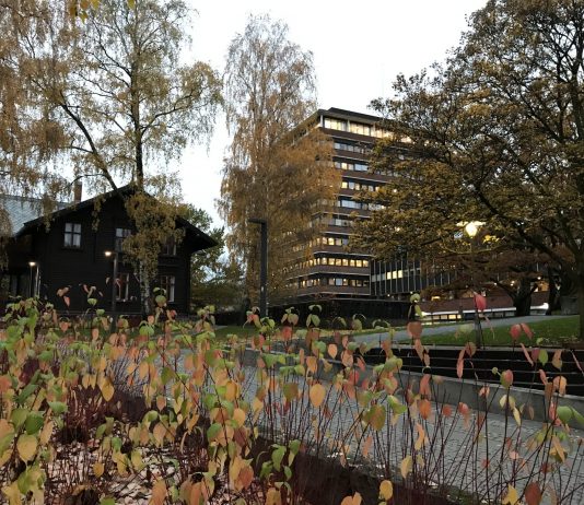 Blick über den CamBlick über den Campus der Universität Oslo. Foto: Lena Fiedler pus der Universität Oslo. Foto: Lena Fiedler