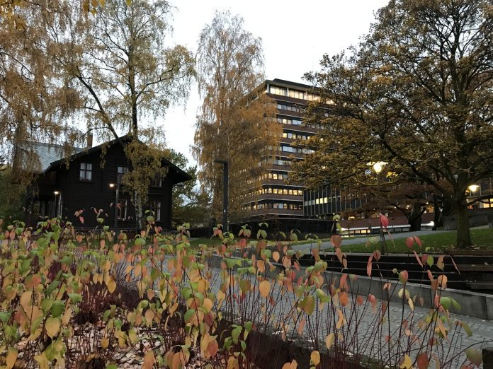 Blick über den CamBlick über den Campus der Universität Oslo. Foto: Lena Fiedler pus der Universität Oslo. Foto: Lena Fiedler