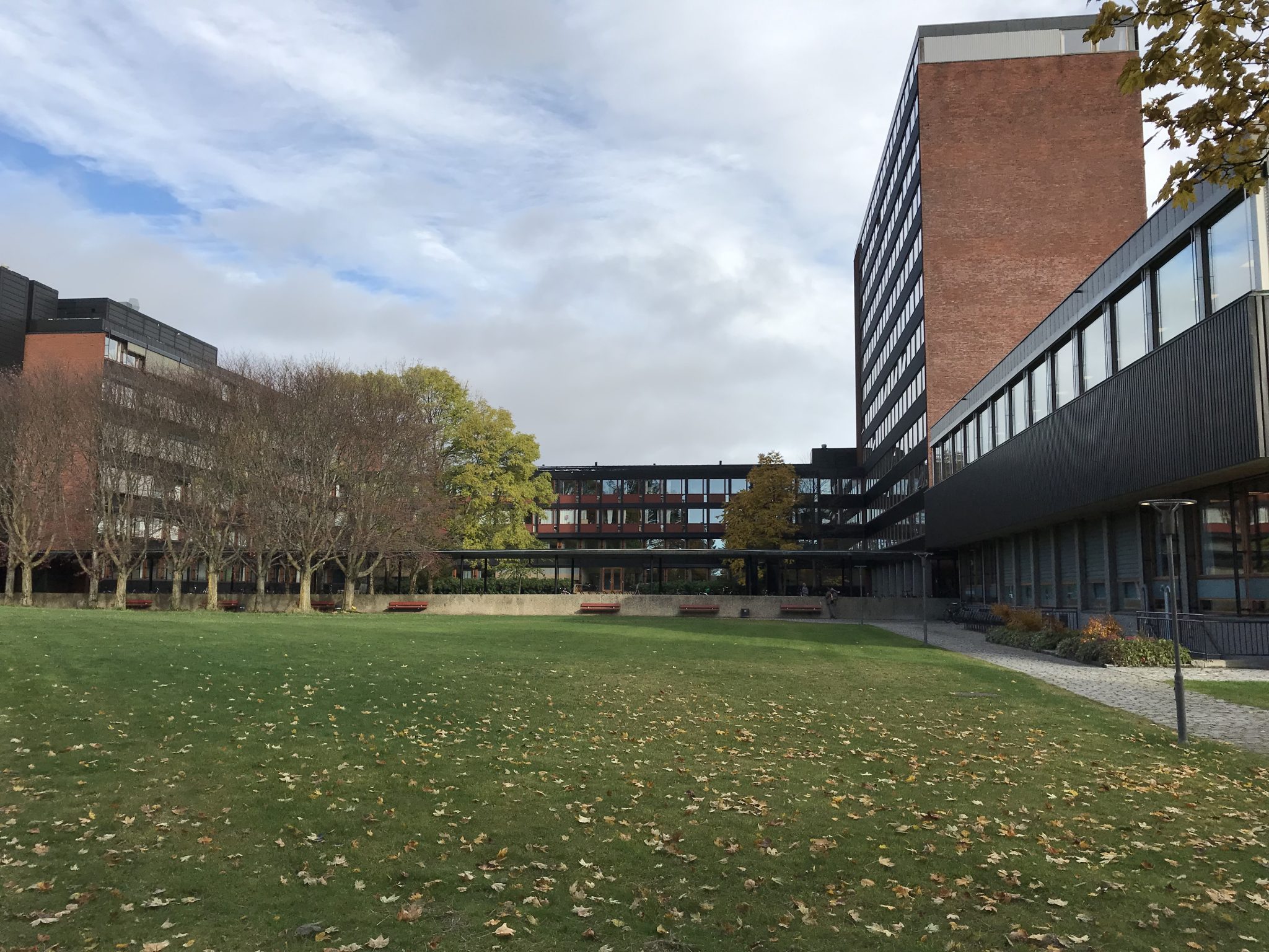 Weiter Blick über den begrünten Campus der Universität Oslo. Foto: Lena Fiedler 