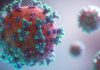Das Coronavirus verändert die Gegebenheiten der Universität. Foto: Fusion Medical Animation Follow Message