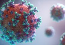 Das Coronavirus verändert die Gegebenheiten der Universität. Foto: Fusion Medical Animation Follow Message