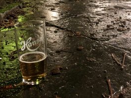 Mittwochspils in Norwegen (Bergen). Foto: Nora Therese Witt