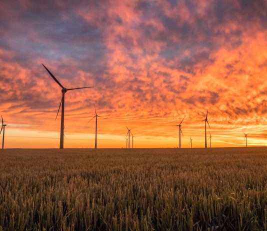 Klimabilanz Interview