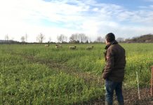 Bio-Bauer: Der Weg zurück zur Natur