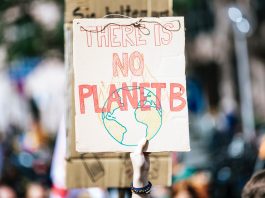 Interview Tadzio Müller