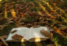 Lektüre für dunkle Stunden – Die UnAufgefordert-Buchtipps für den Herbst