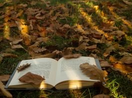 Lektüre für dunkle Stunden – Die UnAufgefordert-Buchtipps für den Herbst