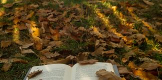 Lektüre für dunkle Stunden – Die UnAufgefordert-Buchtipps für den Herbst