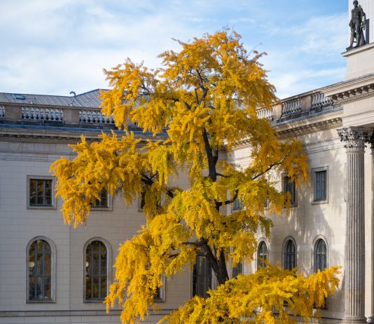Wie wollen Sie die HU schöner machen, Frau von Blumenthal?