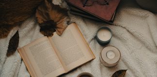 Lesestoff für goldene und graue Tage – die UnAufgefordert Buchtipps für den Herbst ein Buch liegt aufgeschlagen zwischen Laubblättern und Kerzen